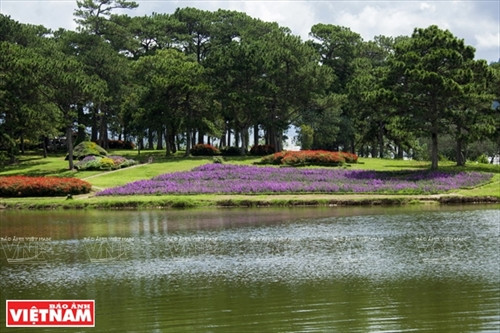 Đến hồ Than Thở nghe "đồi thông kể chuyện tình buồn" ảnh 10