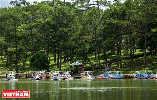 Đến hồ Than Thở nghe "đồi thông kể chuyện tình buồn" ảnh 11