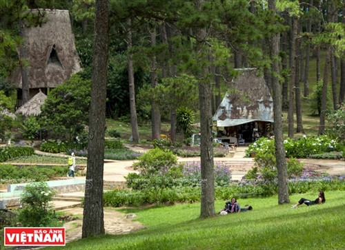 Đến hồ Than Thở nghe "đồi thông kể chuyện tình buồn" ảnh 1