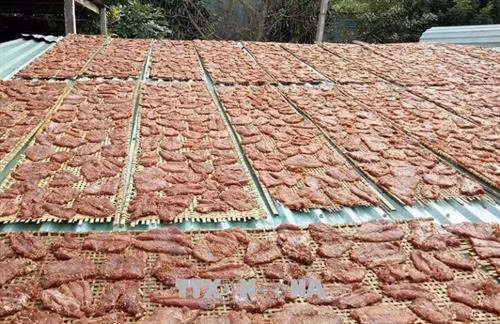 Bò một nắng được phơi dưới nắng gắt vùng chảo lửa Krông Pa. Ảnh: Hồng Điệp - TTXVN