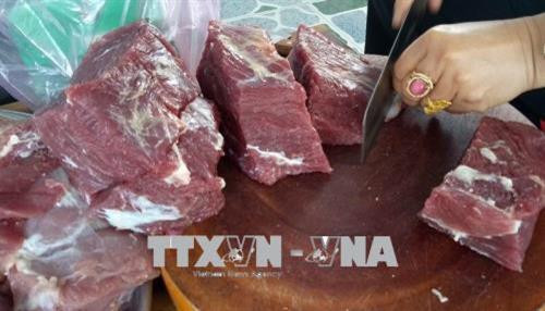 Thịt bò được lựa chọn làm đặc sản Bò một nắng phải là thịt bò đùi tươi. Ảnh: Hồng Điệp - TTXVN Thịt bò được lựa chọn làm đặc sản Bò một nắng phải là thịt bò đùi tươi. Ảnh: Hồng Điệp - TTXVN