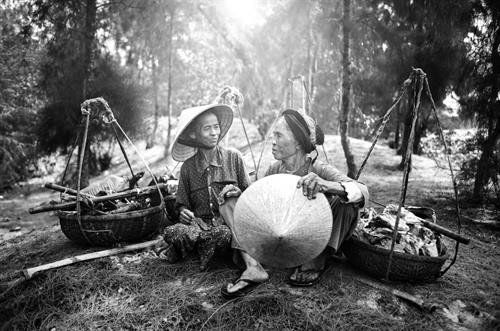 Đội nón lá trên đường về Lấy nón lá làm quạt Đội nón lá trên đường ra đồng Gánh hàng hoa Nón theo mẹ ra đồng Đội nón đi chợ Trên biển Đội nón lá cào don Nón lá trên đầu trong những mưu sinh thường nhật