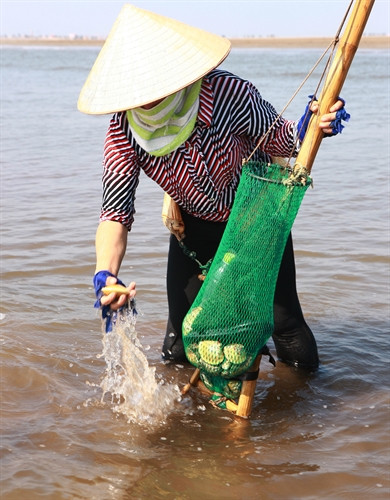 Người phụ nữ này rất thành thạo công việc của mình Người phụ nữ này rất thành thạo công việc của mình