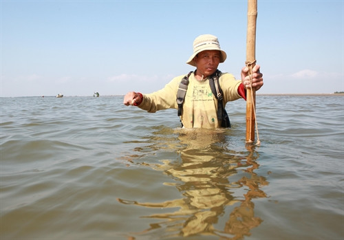 Người dân cào ngao tự nhiên tại vùng biển xã Giao Hải, huyện Giao Thủy, tỉnh Nam Định. Người dân cào ngao tự nhiên tại vùng biển xã Giao Hải, huyện Giao Thủy, tỉnh Nam Định.
