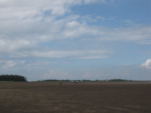 Khách du lịch đến tham quan Cồn Nổi. Khách du lịch đến tham quan Cồn Nổi.