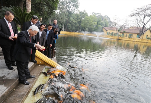 Tổng Bí thư Nguyễn Phú Trọng thăm ao cá Bác Hồ. Ảnh : Trí Dũng – TTXVN