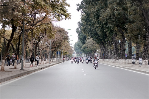 Những con phố Hà Nội đang đẹp hơn rất nhiều dưới những tán lá vàng, lá đỏ và chối non mới nhú. Những con phố Hà Nội đang đẹp hơn rất nhiều dưới những tán lá vàng, lá đỏ và chối non mới nhú.