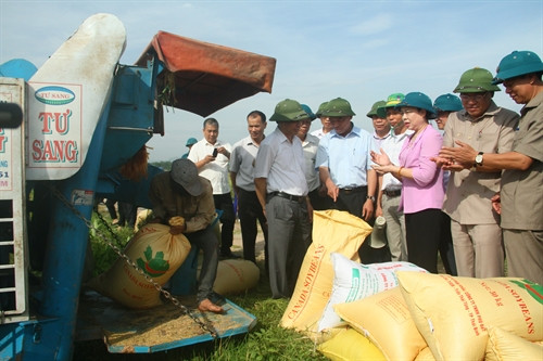 Phó Bí thư Thường trực Thành ủy Hà Nội Ngô Thị Thanh Hằng thăm mô hình ứng dụng cơ giới hóa trong thu hoạch lúa trên cánh đồng xã Hồng Phong, huyện Chương Mỹ.