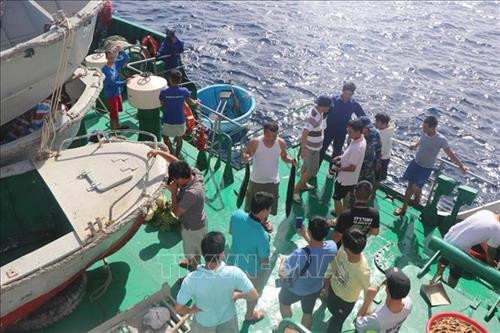 Ngư dân bán cá tại Trường Sa. Ảnh: Nguyễn Văn Nhật - TTXVN Ngư dân bán cá tại Trường Sa. Ảnh: Nguyễn Văn Nhật - TTXVN