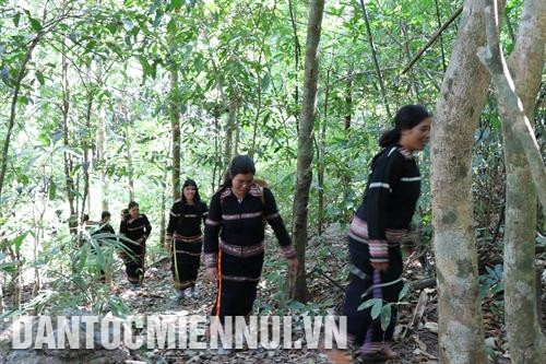 Dân làng Ograng, xã Ia Pếch, huyện Ia Grai (Gia Lai) gùi nước về làm lễ cúng rừng. Ảnh: Hồng Điệp Dân làng Ograng, xã Ia Pếch, huyện Ia Grai (Gia Lai) gùi nước về làm lễ cúng rừng. Ảnh: Hồng Điệp