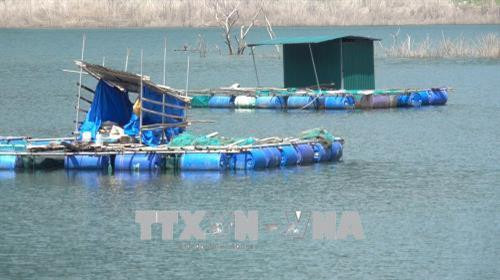Lồng bè nuôi cá tại xã Trà Xinh. Ảnh: Đinh Thị Hương - TTXVN Lồng bè nuôi cá tại xã Trà Xinh. Ảnh: Đinh Thị Hương - TTXVN