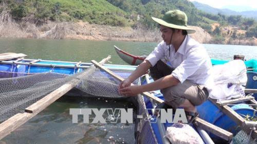 Lồng bè nuôi cá tại xã Trà Xinh. Ảnh: Đinh Thị Hương - TTXVN Lồng bè nuôi cá tại xã Trà Xinh. Ảnh: Đinh Thị Hương - TTXVN