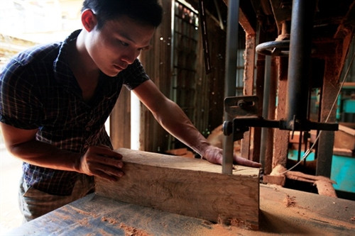 Chuẩn bị, tạo hình sản phẩm gỗ mỹ nghệ.