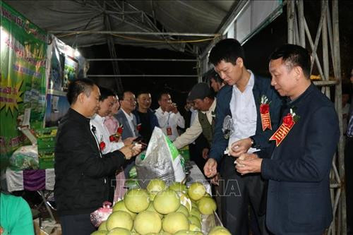 Các đại biểu tham quan các gian trưng bày bưởi Đại Minh tại Lễ hội. Ảnh: Việt Dũng - TTXVN Các đại biểu tham quan các gian trưng bày bưởi Đại Minh tại Lễ hội. Ảnh: Việt Dũng - TTXVN