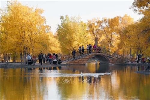 Du khách chiêm ngưỡng hàng cây lá phong đỏ tại Hàm Đan, tỉnh Hà Bắc, Trung Quốc. Ảnh: THX/TTXVN. Hoa cúc khoe sắc tại triển lãm hoa quốc tế Bắc Kinh, Trung Quốc. Ảnh: THX/ TTXVN Hoa cúc nở rộ tại Bắc Kinh, Trung Quốc. Ảnh: THX/TTXVN Người dân thăm triển lãm hoa quốc tế Bắc Kinh, Trung Quốc. Ảnh: THX/TTXVN Cảnh sắc mùa thu tại Tửu Tuyền, tỉnh Cam Túc, miền Tây Bắc Trung Quốc. Ảnh: THX/TTXVN Du khách chiêm ngưỡng cảnh đẹp tại Tửu Tuyền, tỉnh Cam Túc, miền Tây Bắc Trung Quốc. Ảnh: THX/TTXVN Mùa thu vàng hấp dẫn du khách tại Tửu Tuyền, tỉnh Cam Túc, miền Tây Bắc Trung Quốc. Ảnh: THX/TTXVN Sắc màu thu tại Khu tự trị Nội Mông, miền Bắc Trung Quốc. Ảnh: THX/TTXVN phát Sắc màu thu tại Tế Nam, tỉnh Sơn Đông, Trung Quốc ngày 21/10/2019. Ảnh: THX/TTXVN phát Du khách chiêm ngưỡng hàng cây lá phong đỏ tại Hàm Đan, tỉnh Hà Bắc, Trung Quốc. Ảnh: THX/TTXVN. Hoa cúc khoe sắc tại triển lãm hoa quốc tế Bắc Kinh, Trung Quốc. Ảnh: THX/ TTXVN Hoa cúc nở rộ tại Bắc Kinh, Trung Quốc. Ảnh: THX/TTXVN Người dân thăm triển lãm hoa quốc tế Bắc Kinh, Trung Quốc. Ảnh: THX/TTXVN Cảnh sắc mùa thu tại Tửu Tuyền, tỉnh Cam Túc, miền Tây Bắc Trung Quốc. Ảnh: THX/TTXVN Du khách chiêm ngưỡng cảnh đẹp tại Tửu Tuyền, tỉnh Cam Túc, miền Tây Bắc Trung Quốc. Ảnh: THX/TTXVN Mùa thu vàng hấp dẫn du khách tại Tửu Tuyền, tỉnh Cam Túc, miền Tây Bắc Trung Quốc. Ảnh: THX/TTXVN Sắc màu thu tại Khu tự trị Nội Mông, miền Bắc Trung Quốc. Ảnh: THX/TTXVN phát Sắc màu thu tại Tế Nam, tỉnh Sơn Đông, Trung Quốc ngày 21/10/2019. Ảnh: THX/TTXVN phát