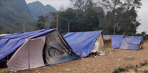 Tối đến, cả làng lại kéo nhau ra đồng ngủ trong những căn lều bạt dựng tạm để đảm bảo an toàn. Ảnh: Quốc Đạt - TTXVN