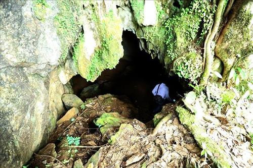 Đường vào hang Mường Tỉnh. Ảnh: Phan Tuấn Anh - TTXVN Đường vào hang Mường Tỉnh. Ảnh: Phan Tuấn Anh - TTXVN