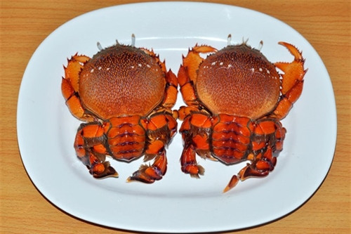 10 món đặc sản "nhắc là thèm" của Bình Định ảnh 10 10 món đặc sản "nhắc là thèm" của Bình Định ảnh 10