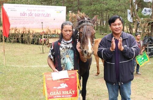 Đà Lạt: Độc đáo đua ngựa không yên trên đồi cỏ hồng ảnh 1 Đà Lạt: Độc đáo đua ngựa không yên trên đồi cỏ hồng ảnh 1