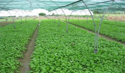 Hình minh họa Hình minh họa