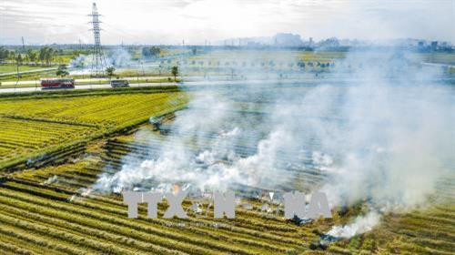 Người dân đốt rơm rạ trên đồng và ven quốc lộ gây ảnh hưởng mất ATGT cho các phương tiện tham gia giao thông. Ảnh: Minh Đức - TTXVN Người dân đốt rơm rạ trên đồng và ven quốc lộ gây ảnh hưởng mất ATGT cho các phương tiện tham gia giao thông. Ảnh: Minh Đức - TTXVN