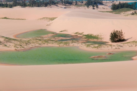 Sơn Hải - nơi đồi cát hùng vĩ chạy ra sát biển đẹp mê hồn ảnh 9