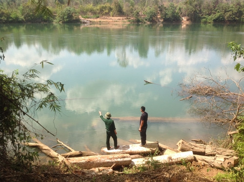 Dọc bờ sông Pô Kô (thuộc huyện Ia Grai, tỉnh Gia Lai), khu vực giáp biên giới với nước bạn Campuchia tình trạng khai thác lâm sản trái phép diễn biến phức tạp.