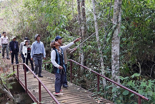 Đoàn lãnh đạo tỉnh Lâm Đồng kiểm tra công tác quản lý, bảo vệ rừng tại Vườn quốc gia Bidoup - Núi Bà trong dịp đầu năm mới 2016.