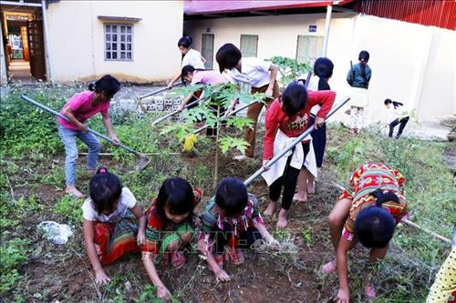 Sau mỗi buổi học trên lớp, các thầy cô và các em học sinh bán trú đi dọn cỏ trong vườn. Ảnh: Đinh Đức Tưởng - TTXVN Sau mỗi buổi học trên lớp, các thầy cô và các em học sinh bán trú đi dọn cỏ trong vườn. Ảnh: Đinh Đức Tưởng - TTXVN