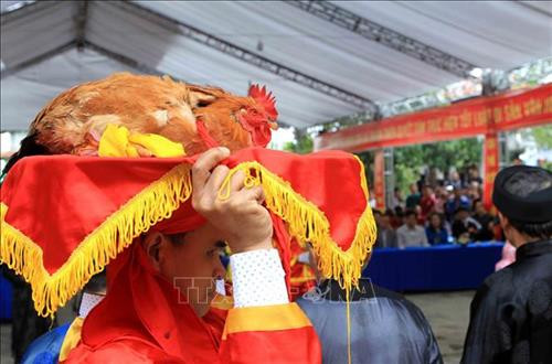 Rước gà trống vào lễ chính thức. Ảnh: An Đăng - TTXVN Kiểm tra lời hứa trước khi vào buổi lễ. Ảnh: An Đăng - TTXVN Nghi lễ cắt tiết gà "kim kê" là một nét rất riêng của Lễ hội Minh Thề. Ảnh: An Đăng - TTXN