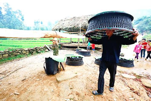 Địa đểm tổ chức Lễ hội Khô Già Già thường là một bãi đất rộng cạnh bìa rừng. Nơi đây có lán thờ được người dân làm bằng gỗ, lợp mái cỏ. Lễ hội thường diễn ra vào đầu tháng 6 âm lịch. Mở đầu là nghi thức mổ trâu hiến tế thần linh thu hút đông thanh niên, trai tráng tham gia Vào ngày hôm sau, mỗi gia đình đều tự chuẩn bị mâm lễ vật mang đến rừng làm lễ cúng thần linh. Mỗi mâm lễ, ngoài thịt trâu còn có các nông sản do người dân tự trồng cấy, chăn nuôi được như thịt gà, thịt lợn, đậu tương, bí đỏ, lạc rang, rượu trắng… Thầy cúng tại thôn Choản Thèn, xã Y Tý chuẩn bị đồ cho lễ cúng. Hai thầy cúng chính thực hiện nghi lễ cúng thần đất, thần nước, thần rừng. Các thầy cúng còn làm lễ cúng tại cột đu quay, đu dây và thực hiện nghi thức thử đu để kiểm tra độ an toàn trước khi cho phép người dân và trẻ em tham gia. Sau nghi lễ cúng, các mâm lễ vật được chuyển vào lán thờ và đại diện các gia đình ngồi ăn cơm, uống rượu, chia sẻ kinh nghiệm sản xuất. Người dân trong thôn được nghỉ 3 ngày để vui chơi, kiêng vào rừng chặt cây, lấy củi, đào đất… Lễ hội Khô Già Già chứa đựng ý nghĩa nhân văn sâu sắc, được đồng bào Hà Nhì đen trên vùng cao Bát Xát gìn giữ qua nhiều thế hệ. Địa đểm tổ chức Lễ hội Khô Già Già thường là một bãi đất rộng cạnh bìa rừng. Nơi đây có lán thờ được người dân làm bằng gỗ, lợp mái cỏ. Lễ hội thường diễn ra vào đầu tháng 6 âm lịch. Mở đầu là nghi thức mổ trâu hiến tế thần linh thu hút đông thanh niên, trai tráng tham gia Vào ngày hôm sau, mỗi gia đình đều tự chuẩn bị mâm lễ vật mang đến rừng làm lễ cúng thần linh. Mỗi mâm lễ, ngoài thịt trâu còn có các nông sản do người dân tự trồng cấy, chăn nuôi được như thịt gà, thịt lợn, đậu tương, bí đỏ, lạc rang, rượu trắng… Thầy cúng tại thôn Choản Thèn, xã Y Tý chuẩn bị đồ cho lễ cúng. Hai thầy cúng chính thực hiện nghi lễ cúng thần đất, thần nước, thần rừng. Các thầy cúng còn làm lễ cúng tại cột đu quay, đu dây và thực hiện nghi thức thử đu để kiểm tra độ an toàn trước khi cho phép người dân và trẻ em tham gia. Sau nghi lễ cúng, các mâm lễ vật được chuyển vào lán thờ và đại diện các gia đình ngồi ăn cơm, uống rượu, chia sẻ kinh nghiệm sản xuất. Người dân trong thôn được nghỉ 3 ngày để vui chơi, kiêng vào rừng chặt cây, lấy củi, đào đất… Lễ hội Khô Già Già chứa đựng ý nghĩa nhân văn sâu sắc, được đồng bào Hà Nhì đen trên vùng cao Bát Xát gìn giữ qua nhiều thế hệ.