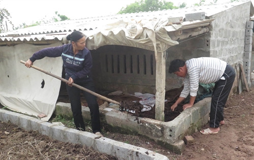 Mô hình nuôi giun quế của gia đình bà Đoàn Thị Gấm (xóm 5, xã Hải Sơn) cho thu nhập hơn 80 triệu đồng/năm. Ảnh: Nguyễn Lành - TTXVN