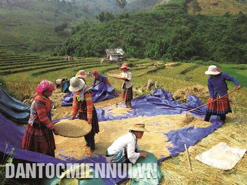 Đồng bào Mông ở huyện Mường Lát giờ đã có cuộc sống no ấm, đủ đầy