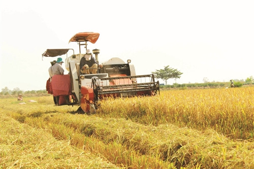 Phú Tân đưa cơ giới hóa vào sản xuất nông nghiệp Nghề đan lát và trồng tre, trúc phát triển giúp nhiều hộ đồng bào khmer nghèo trong xã tăng thêm thu nhập