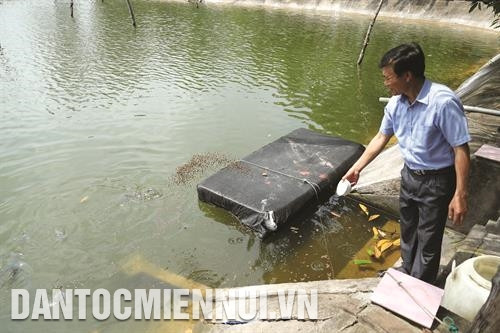 Cựu chiến binh Bùi Ngọc Liêm là người thúc đẩy xây dựng nhãn hiệu tập thể "Tôm thẻ chân trắng Móng Cái" và tiên phong ứng dụng khoa học vào nuôi tôm công nghiệp