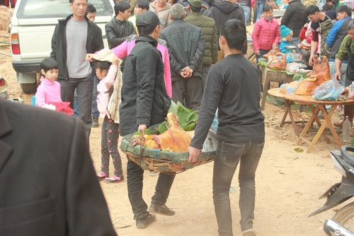 Phần đông du khách đến hội chùa Bắc Nga đều tổ chức mua thịt lợn quay và các đồ ăn dân dã khác, tập trung thành từng nhóm trên các sườn đồi, bãi sông để vừa ngắm cảnh hội vừa thưởng thức thịt lợn quay. Khi quay phải quay đều tay, quá trình quay một chú lợn mất khoảng hai đến ba tiếng, tùy theo trọng lượng. Trước khi quay lợn, bên trong bụng lợn được tẩm ướp gia vị mặn ngọt và được nhồi lá mắc mật - một loại nguyên liệu làm nên hương vị thơm ngon cho thịt. Thịt lợn được các chủ quán nhập về là những chú lợn được nuôi tại bản nên thịt rất chắc và thơm ngon. Du khách đến chùa Bắc Nga thường mua thịt lợn quay để vừa ngắm cảnh hội vừa thưởng thức đặc sản ẩm thực Xứ Lạng.