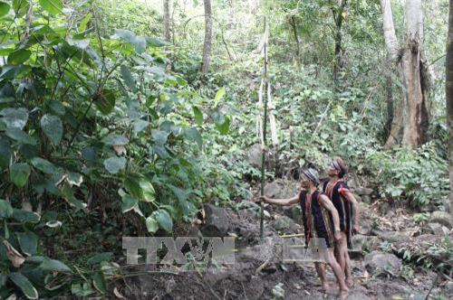 Già làng, đàn ông dựng cây Nêu trong lễ cúng Bến nước. Ảnh: Hồng Điệp – TTXVN. Già làng, đàn ông dựng cây Nêu trong lễ cúng Bến nước. Ảnh: Hồng Điệp – TTXVN.