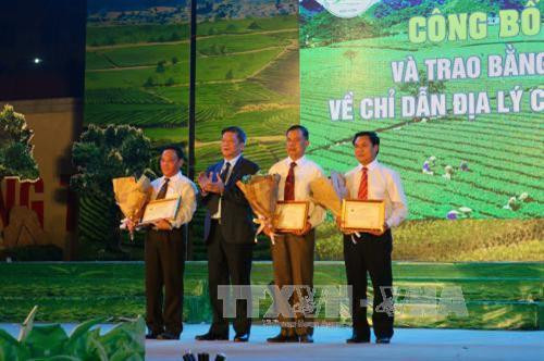 Trao giấy chứng nhận quyền sử dụng chỉ dẫn địa lý Chè Shan tuyết Mộc Châu cho các đơn vị. Ảnh: Hữu Quyết - TTXVN Trao giấy chứng nhận quyền sử dụng chỉ dẫn địa lý Chè Shan tuyết Mộc Châu cho các đơn vị. Ảnh: Hữu Quyết - TTXVN