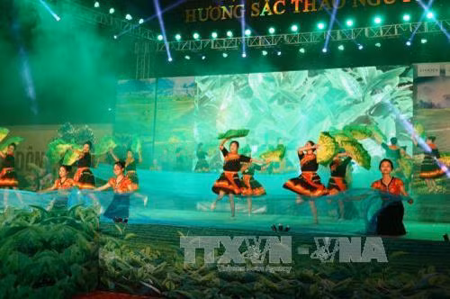 Chương trình nghệ thuật Hương sắc chè cao nguyên tại lễ khai mạc. Ảnh: Hữu Quyết - TTXVN