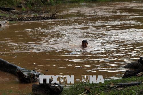 Những đứa trẻ không biết tai họa có thể ập đến lúc nào khi vớt củi trong mùa mưa bão. Ảnh: Phan Tuấn Anh - TTXVN Những đứa trẻ chờ đợi những tấm gỗ, thân cây trôi theo dòng nước. Ảnh: Phan Tuấn Anh - TTXVN Những đứa trẻ không biết tai họa có thể ập đến lúc nào khi vớt củi trong mùa mưa bão. Ảnh: Phan Tuấn Anh - TTXVN Những đứa trẻ chờ đợi những tấm gỗ, thân cây trôi theo dòng nước. Ảnh: Phan Tuấn Anh - TTXVN Dù nước sông chảy xiết, luôn rình rập hiểm nguy nhưng những đứa trẻ vẫn lao ra vớt củi. Ảnh: Phan Tuấn Anh - TTXVN Những đứa trẻ không biết tai họa có thể ập đến lúc nào khi vớt củi trong mùa mưa bão. Ảnh: Phan Tuấn Anh - TTXVN Những đứa trẻ chờ đợi những tấm gỗ, thân cây trôi theo dòng nước. Ảnh: Phan Tuấn Anh - TTXVN Những đứa trẻ không biết tai họa có thể ập đến lúc nào khi vớt củi trong mùa mưa bão. Ảnh: Phan Tuấn Anh - TTXVN Những đứa trẻ chờ đợi những tấm gỗ, thân cây trôi theo dòng nước. Ảnh: Phan Tuấn Anh - TTXVN Dù nước sông chảy xiết, luôn rình rập hiểm nguy nhưng những đứa trẻ vẫn lao ra vớt củi. Ảnh: Phan Tuấn Anh - TTXVN