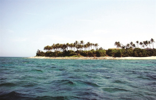 Những rặng dừa xanh bên bờ cát trắng trên đảo An Bình Những rặng dừa xanh bên bờ cát trắng trên đảo An Bình