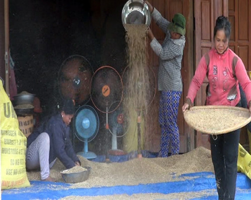 Tạo sinh kế gắn với định canh định cư ảnh 3