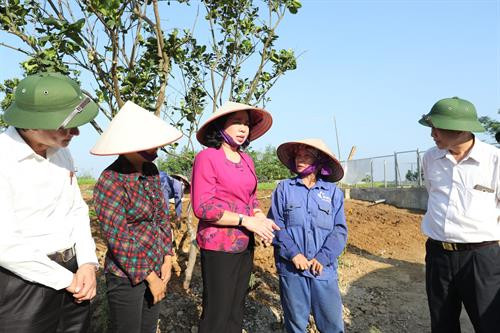 Kiểm tra xây dựng nông thôn mới, thăm các mô hình sản xuất nông nghiệp công nghệ cao tại huyện Thạch Thất ảnh 6