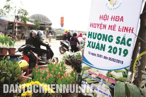 Chợ hoa Mê Linh được nhiều người biết đến là nơi cung cấp hoa chủ yếu cho Hà Nội và một số tỉnh phía Bắc. Ảnh: Tú Quỳnh