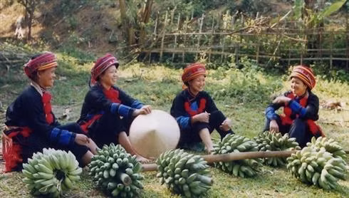 Thu hoạch chuối ở xã Kim Bình, huyện Chiêm Hoá (Tuyên Quang). Ảnh: nguồn nongnghiep.vn