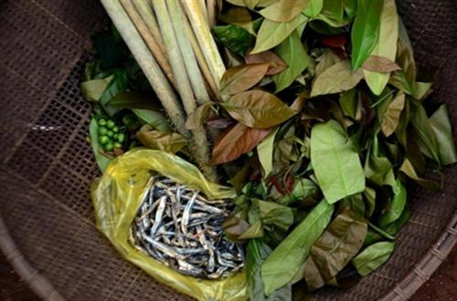 Nguyên liệu chuẩn bị nấu canh thụt cần có lá bép, cá lòng tong, đọt mây, cà đắng... Ảnh: baogialai.com.vn