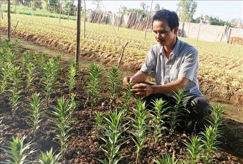 Làng hoa Sa Đéc (Đồng Tháp) tích cực chăm sóc hơn 3 triệu giỏ hoa để kịp nở vào đúng dịp Tết. Ảnh: Nguyễn Văn Trí – TTXVN Phường Tân Quy Đông và xã Tân Khánh Đông (Sa Đéc-Đồng Tháp) có hơn 2.300 hộ sản xuất hoa kiểng các loại. Ảnh: Nguyễn Văn Trí –TTXVN Các hộ trồng hoa ở xã Ninh Phúc (Ninh Bình) gieo trồng chăm sóc hoa vụ Tết. Ảnh: Minh Đức – TTXVN Nông dân tỉnh Quảng Bình tích cực trong các khâu chăm sóc hoa, cây cảnh để kịp phục vụ thị trường Têt. Ảnh: Võ Dung-TTXVN Làng hoa An Lạc (Quảng Trị) có gần 100 hộ tham gia trồng trên 30.000 chậu hoa, trong đó chủ yếu là hoa cúc phục vụ Tết. Ảnh: Nguyên Lý-TTXVN Làng hoa Sa Đéc (Đồng Tháp) tích cực chăm sóc hơn 3 triệu giỏ hoa để kịp nở vào đúng dịp Tết. Ảnh: Nguyễn Văn Trí – TTXVN Phường Tân Quy Đông và xã Tân Khánh Đông (Sa Đéc-Đồng Tháp) có hơn 2.300 hộ sản xuất hoa kiểng các loại. Ảnh: Nguyễn Văn Trí –TTXVN Các hộ trồng hoa ở xã Ninh Phúc (Ninh Bình) gieo trồng chăm sóc hoa vụ Tết. Ảnh: Minh Đức – TTXVN Nông dân tỉnh Quảng Bình tích cực trong các khâu chăm sóc hoa, cây cảnh để kịp phục vụ thị trường Têt. Ảnh: Võ Dung-TTXVN Làng hoa An Lạc (Quảng Trị) có gần 100 hộ tham gia trồng trên 30.000 chậu hoa, trong đó chủ yếu là hoa cúc phục vụ Tết. Ảnh: Nguyên Lý-TTXVN
