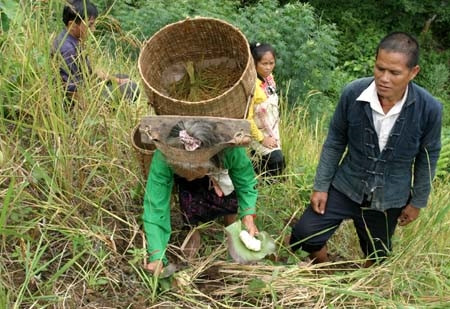 Gùi là vật dụng quen thuộc trong đời sống của người Mảng. Ảnh: internet Gùi là vật dụng quen thuộc trong đời sống của người Mảng. Ảnh: internet