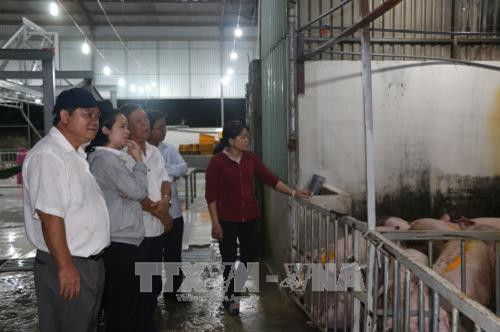 Đoàn kiểm tra Sở Nông nghiệp và Phát triển nông thôn tỉnh Long An kiểm tra cơ sở giết mổ tại huyện Đức Hòa