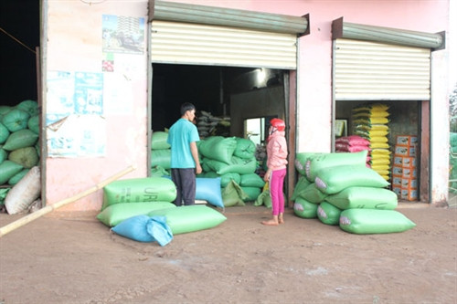 Một đại lý thu mua nông sản và kinh doanh phân bón tại xã Dliê Ya (huyện Krông Năng). Một đại lý thu mua nông sản và kinh doanh phân bón tại xã Dliê Ya (huyện Krông Năng).